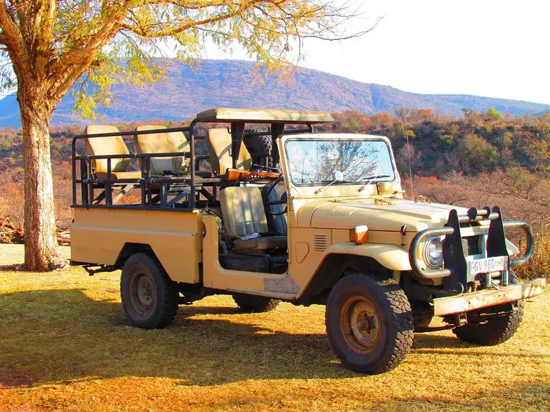 Land Cruiser with roof-top tent set up in a forest